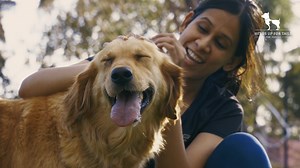 A pet's love is unconditional in more ways than one. They give us the biggest space in their heart & make us the center of their universe. ✨ Whilst we refer to them as "A Man's Best Friend" let's not forget to celebrate the beautiful friendship a woman shares with her furry friend. 🐕🐈 This film is an ode to such relationships that make our hearts full & a small effort towards breaking the stereotype of calling a dog only a 'man's best friend'. Because, love knows no gender, and a pet is everyo