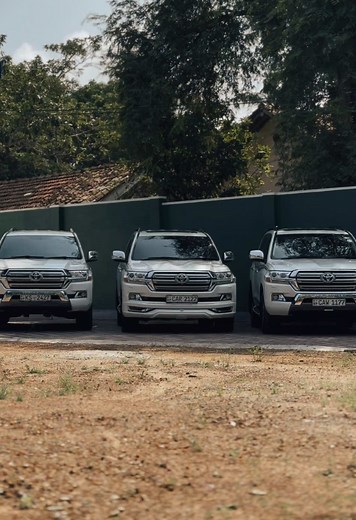 Mammoths 🦣❤️#tiktok #srilanka #viral #trending #popular #fypシ