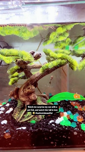 28K views · 606 reactions | I Bought My Son A Fish! | Domo Wilson | Facebook