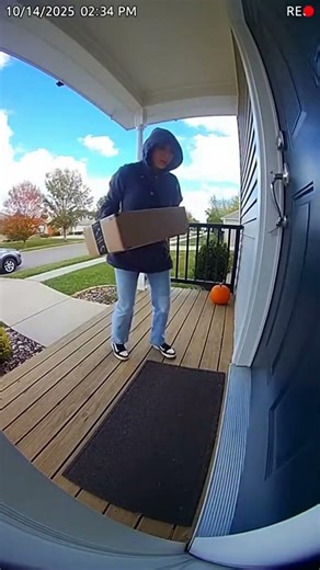 Woman tries to steal package but my cat goes full attack mode 😂