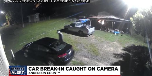 Deputies: Car break-in caught on camera in Anderson County