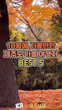 10월에 가야하는 제주도 여행지 모음 | 국내여행추천, 국내여행가볼만한곳, 국내여행지추천