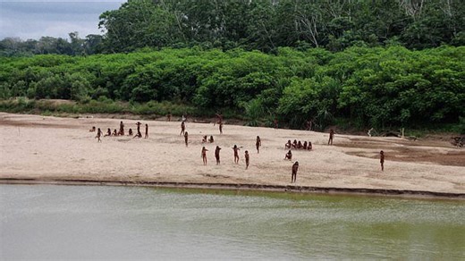 Uncontacted tribe sighted in Peruvian Amazon where loggers operate