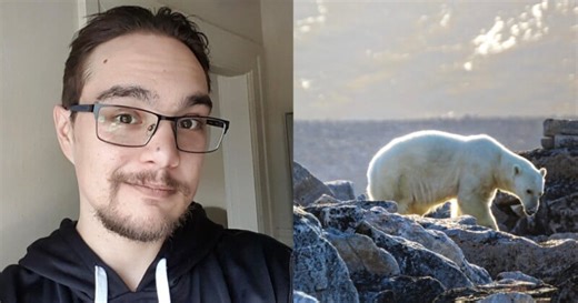 Photographer Mauled to Death by Polar Bears at Arctic Outpost