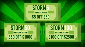 螺 NEW COUPON CODES: Use the following coupon codes on SteelCityCollectibles.com for some pretty big savings! STORM5 — $5 off $50 STORM50 — $50 off $1000 STORM100 — $100 off $2500 #TheHobby #Collect #SportsCards #TradingCards #Topps #UpperDeck #WhoDoYouCollect #Sports #Coupon | Steel City Collectibles | Facebook
