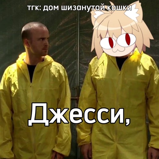 "Мэмчик" тгк: 😺Дом шизанутой кошки😺 #necoarc #мем #brackingbad | Neco-Arc