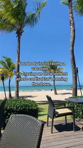 We’ve normalized living in survival mode. Constant notifications. Constant stress. Constant rushing