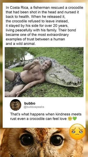 A Wild Crocodile Turned Gentle? You Have to See What This Man Did