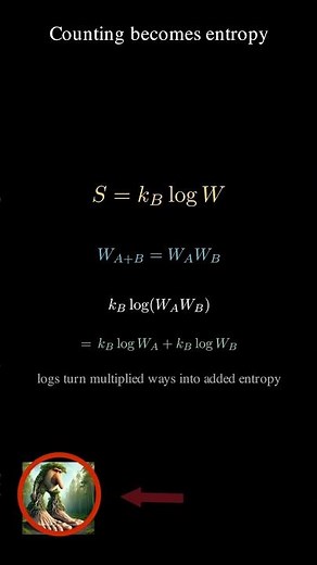 brr brr patapim explains entropy and how to derive the formula #entropy