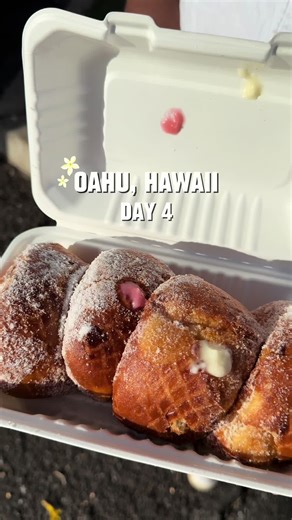 Exploring Hawaii's Diverse Food Truck Scene