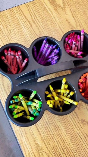 Rachel Collins on TikTok