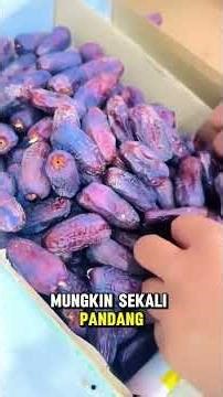 Selain Ajwa, Arab Saudi ada banyak lagi jenis kurma yang lain.