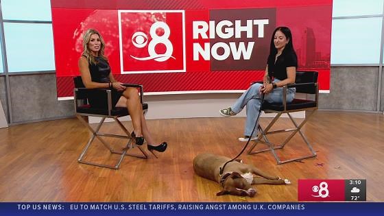 Nonprofit saves veterans, rescue dogs — one life at a time