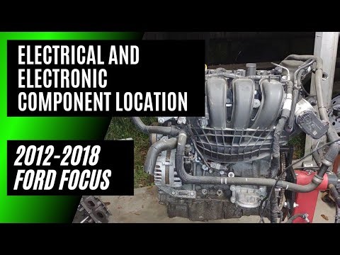 Engine Management Electrical and Electronic Component Locations 2012-2018 Ford Focus