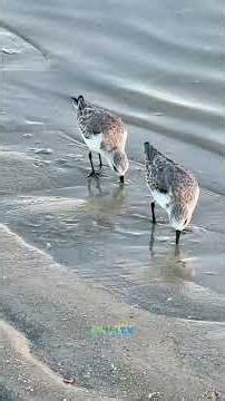 Beautiful Beach, Beautiful Weather, Beautiful Florida State Park, Beautiful Naples! | Dec. 17, 2025