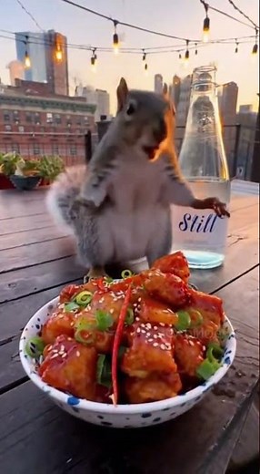 Squirrel Bites Super Spicy Chili… Instantly Regrets Everything! 🌶️🐿️🔥 #funny #foodchallenge #food