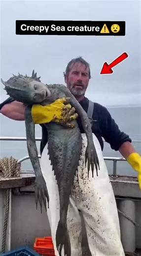 Explore Creepy Sea Creatures in the North Sea