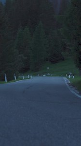 Exotic Collections 🔥🔥🌹💯📌 | Exotic Cars