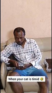 When your cat is timid 🤣 #cat #catlover #catsofinstagram #funny | Cyndy Exclusive Apparel