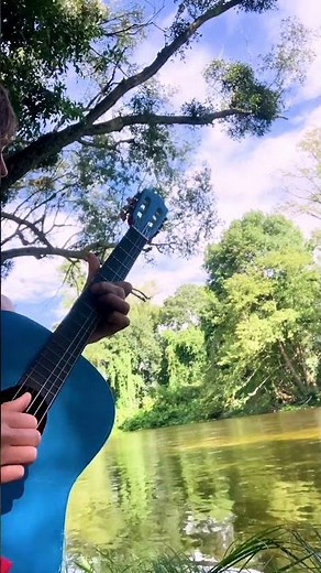 Our song 'Camouflage' played on guitar