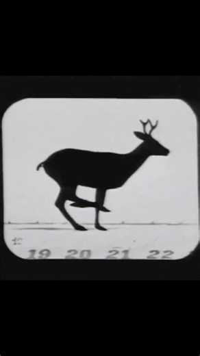 Deer Running (1881) Eadweard Muybridge