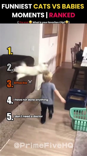 Funniest Cats vs Babies Moments | Ranked 👶🐱 #shorts