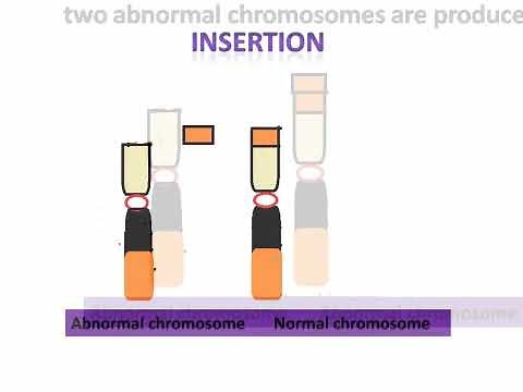 Structural chromosomal abnormalities: delation, duplication , inversion etc.