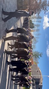 4.5K views · 83 reactions | Great moments at Freemasons’ National...