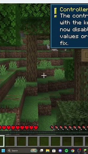 I tried using a steering wheel in Minecraft Java...