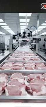 Human eats python meat 🍖 🍖