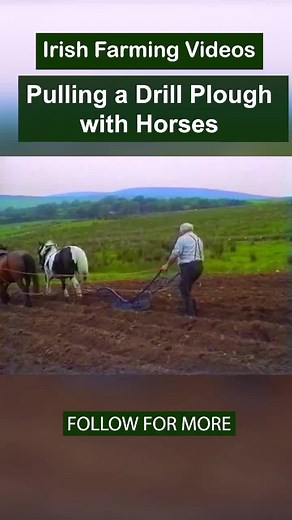 Videos of Irish Farming Life on TikTok