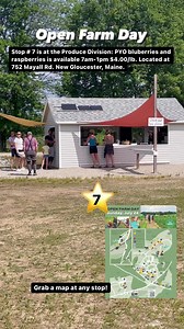 Pineland Farms on Reels