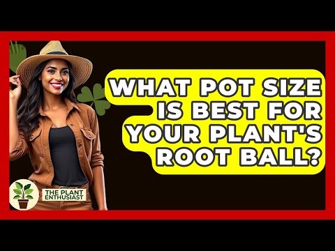 What Pot Size Is Best For Your Plant's Root Ball? - The Plant Enthusiast