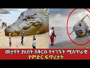 ብዙዎችን ማመን የቸገራቸው አዳዲስ እንስሳቶች ||amazing animals #ethiopia #አስገራሚ #denklejoch