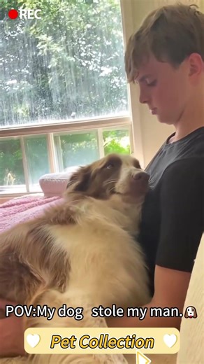 Try Not To Laugh Challenge | Funniest Pets Compilation 2026🐶🐱 #FunnyPets #PetCompilation #viralpets