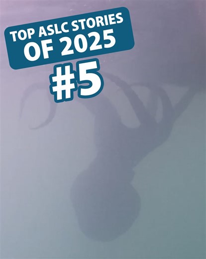 Number six in our countdown of top stories from 2025: The moment Oceana the giant Pacific octopus is released to the ocean! "The ASLC team recently said goodbye to one of our Giant Pacific octopuses, "Oceana," as she returned to the ocean. When giant Pacific octopus reach reproductive maturity, we have special permits to release them back to the ocean to complete their natural life cycle in the wild. Watch as our team transports and releases her into Resurrection Bay. An unforgettable moment of 