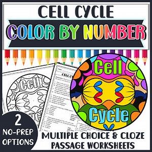 Cell Cycle Color by Number | Biology Coloring Review Worksheet Activity