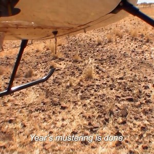 233K views · 4.4K reactions | It's the final muster for the Joneses before the wet season starts, But Milton still has some bulls to catch! Watch his insane bull-catching from a modified car! 鸞 | Untamed | Facebook