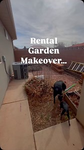 7K views · 19K reactions | When we first moved into this rental home,...