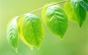 Spring 框架 IOC AOP