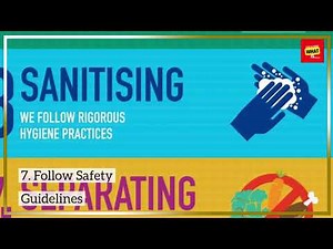 How to Volunteer at Animal Shelters