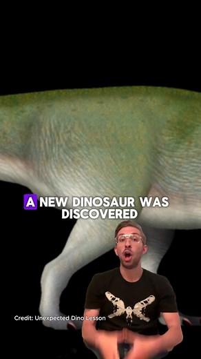 8.4K views · 246 reactions | New Dino Dropped 秊If you want to stay up to date on new dinosaurs and the newest research on them, then you gotta sign up for my newsletter! Every month I bring you cutting edge research on dinosaurs absolutely free. Go to the link in my bio to sign up練 #dinosaur #dinosaurs #dinos #fossil #fossils #naturalhistory #paleontology #paleontologists #paleontologist #scicomm #science #JurassicWorld #JurassicPark #newdino | Daily Dino Guy | Facebook
