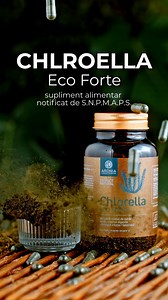 💚 Descoperă Chlorella ECO Forte — 120 capsule naturale din alga Chlorella, care susțin detoxifierea, digestia și microflora intestinală. 💚 🌱 Conțin extract din Chlorella (Chlorella vulgaris), o microalgă & plantă marină, cu beneficii remarcabile pentru sănătate. ✅ Asigură o detoxifiere profundă a organismului, eliminând toxinele provenite din pesticide, medicamente și metale grele. 👩🏻‍⚕️ Susțin funcționarea optimă a ficatului, rinichilor și a vezicii biliare, organe implicate în detoxifiere