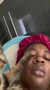 4.1K views · 103 reactions |  Why Do Cats Make Biscuits​  | Cat Lover | Facebook