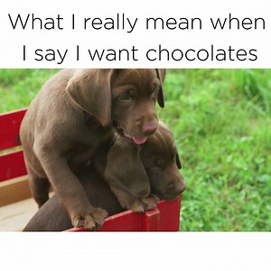 2.7M views · 29K reactions | Significant others, take note. | Country Living Magazine | Facebook