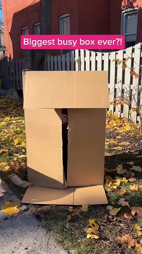 159 reactions · 11 comments | When life gives you a giant cardboard...