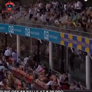 503K views · 15K reactions | Top 5 Biggest Sixes in Cricket History (#4 is Amazing) :O | Wheon Cricket | Facebook