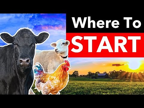 The 9 Best States To Start A Homestead