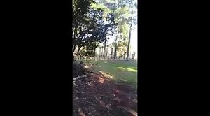 #VIDEO: Farmer discovers his neighbor having s3x with his cow