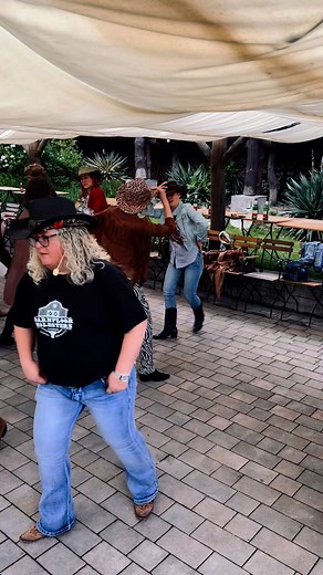 80K views · 696 reactions |  PRIJAVE SU U TIJEKU! Line dance radionica ponovno se održava 19.09. u 17:30h  Cijena radionice: 15,00 € Prijavu pošalji na info@cowboy.com.hr  Broj mjesta je ograničen, stoga bolje požuri - skupi ekipu ili dođi solo. Veselimo se ponovnom druženju! 鸞 @barnfloor_molesters #restorancowboy | Izletište "Cowboy" | Facebook